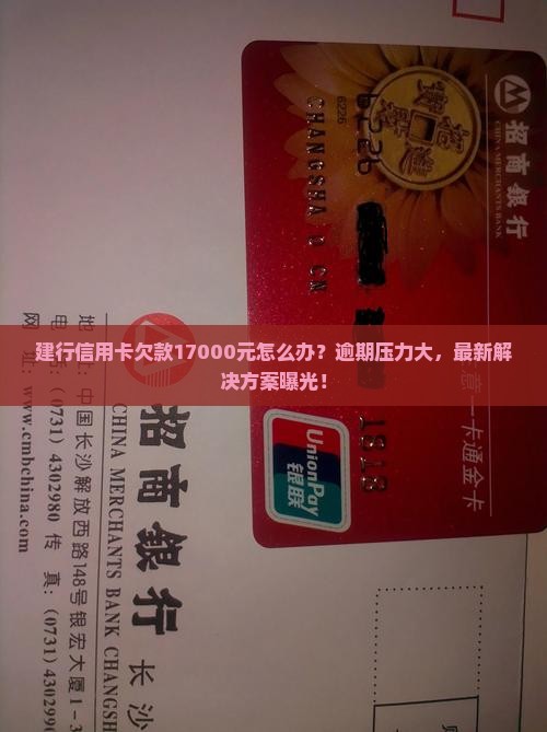 建行信用卡欠款17000元怎么办