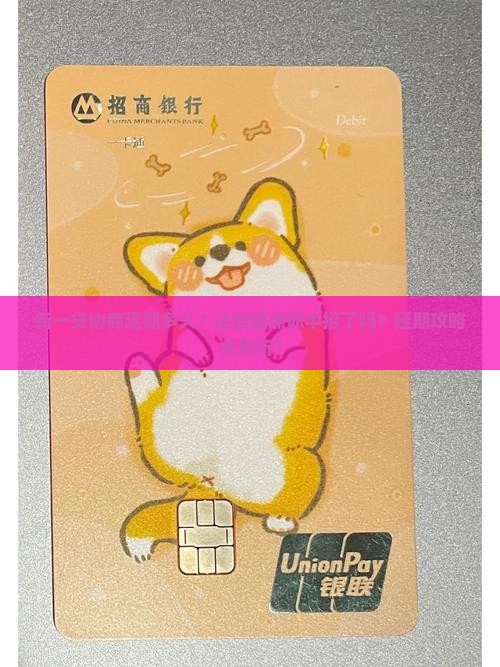 新一贷协商延期多久需要注意什么 新一贷协商延期多久需要注意什么