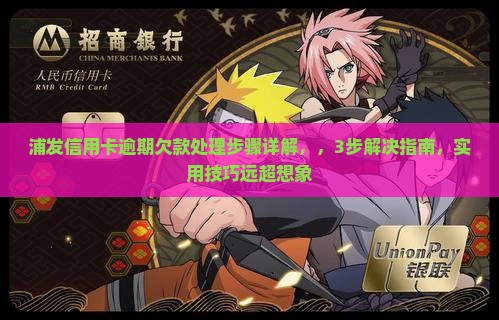 浦发信用卡逾期欠款处理步骤详解