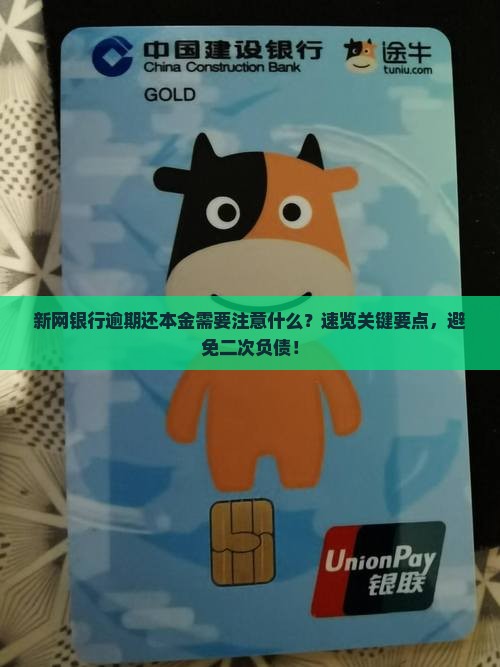 新网银行逾期还本金需要注意什么