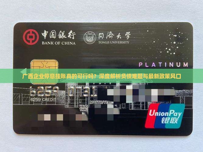 广西企业停息挂账问题解析