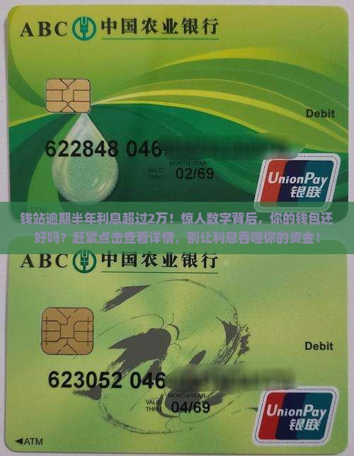 钱站逾期半年利息超过2万