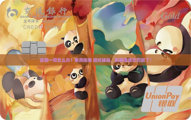 信用飞逾期一周会怎样