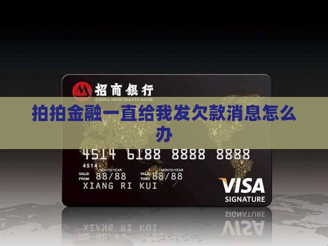拍拍金融一直给我发欠款消息怎么办 拍拍金融一直给我发欠款消息怎么办