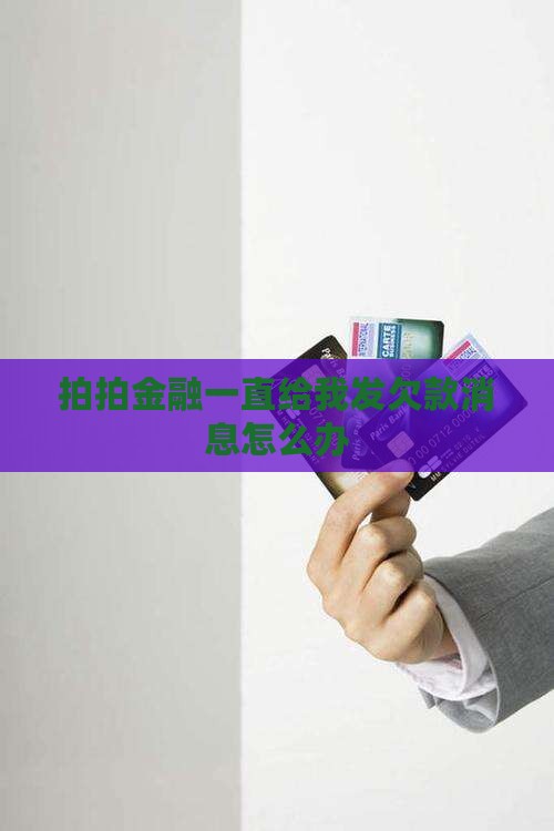 拍拍金融一直给我发欠款消息怎么办 拍拍金融一直给我发欠款消息怎么办