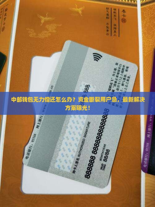 中邮钱包无力偿还什么意思如何处理