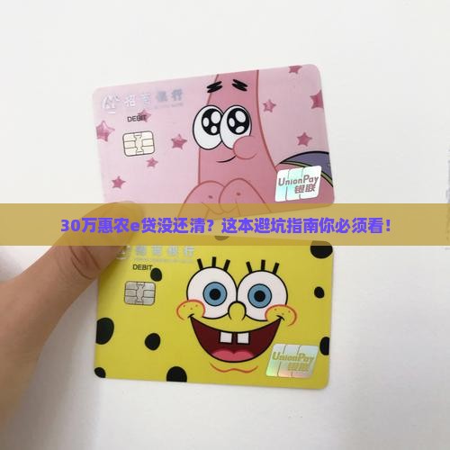 惠农e贷贷款30万未还清怎么办