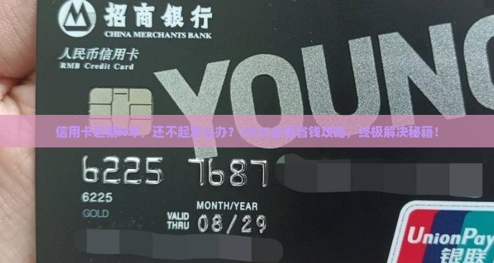 信用卡逾期时间长了怎么解决信用卡逾期问题