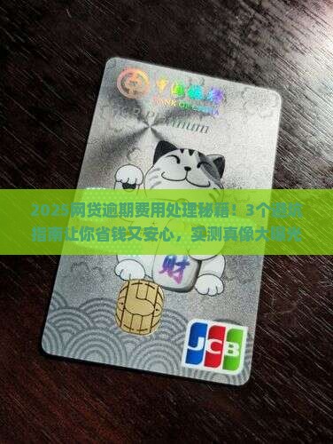 网贷逾期费用处理方式