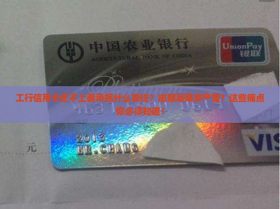 工行信用卡还不上要承担什么责任