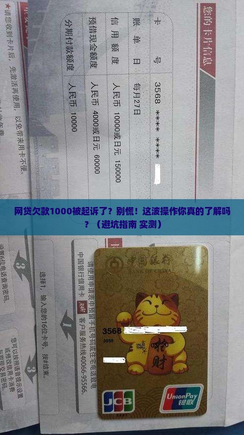 网贷欠款1000被起诉了