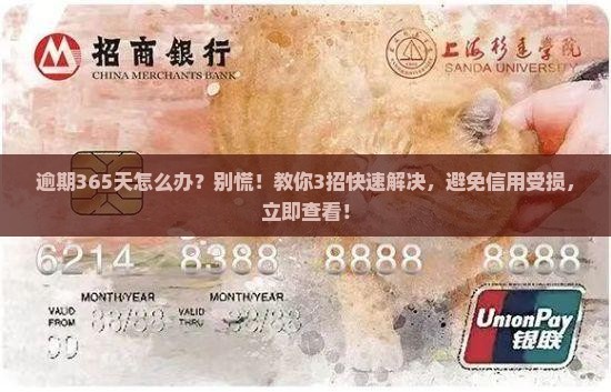 微粒贷逾期365天怎么办