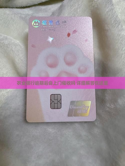 农业银行逾期后会上门催收吗 详细解答在这里