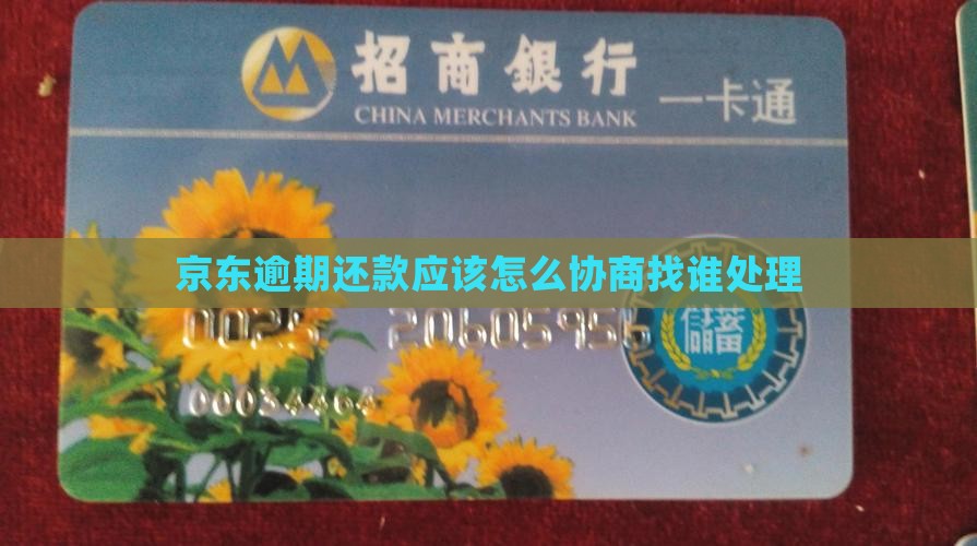 京东逾期还款应该怎么协商找谁处理