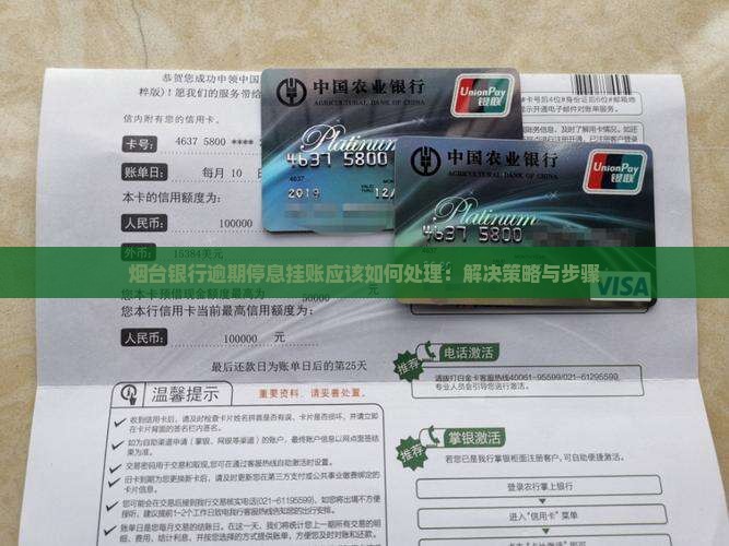 烟台银行逾期停息挂账应该如何处理：解决策略与步骤