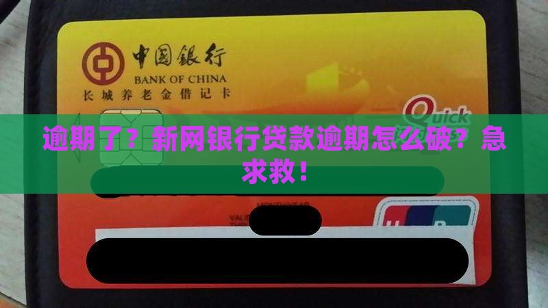 新网银行贷款有逾期该如何处理