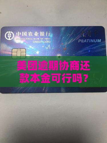 美团自行协商还本金可以吗