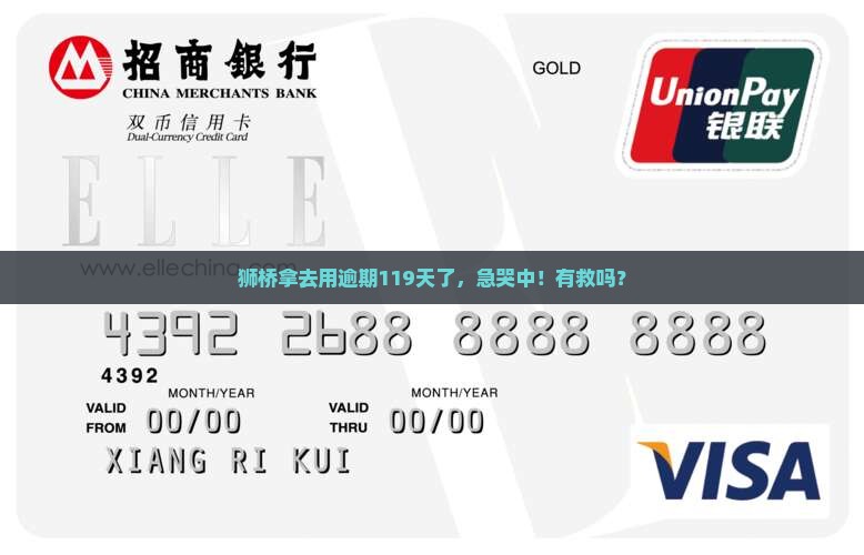 狮桥拿去用逾期119天怎么办处理