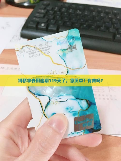 狮桥拿去用逾期119天怎么办处理