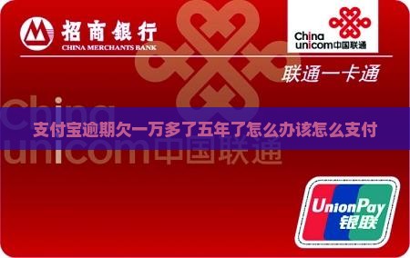 支付宝欠1万多5年了怎么办