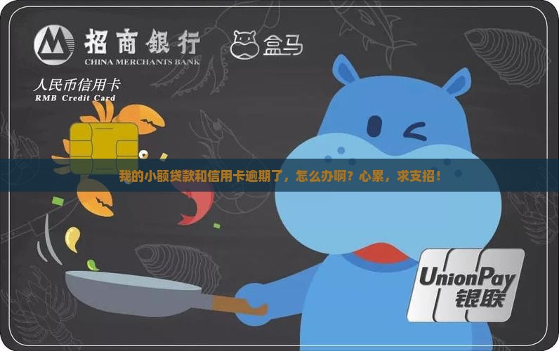 小额贷款信用卡有逾期怎么处理