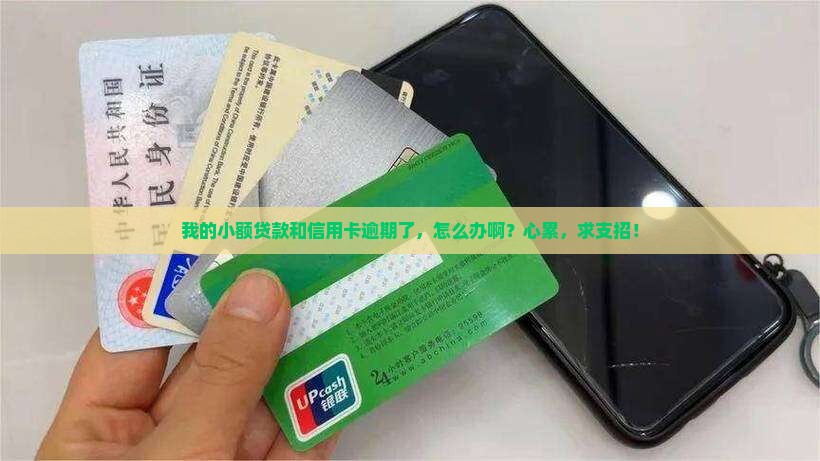 小额贷款信用卡有逾期怎么处理