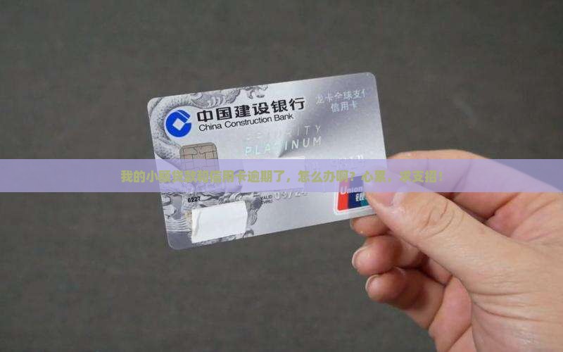 小额贷款信用卡有逾期怎么处理