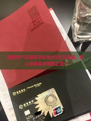 苏宁任性付30000逾期如何处理