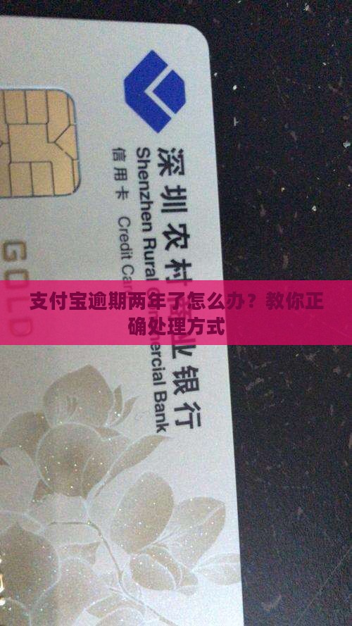 支付宝欠6万多2年了怎么办