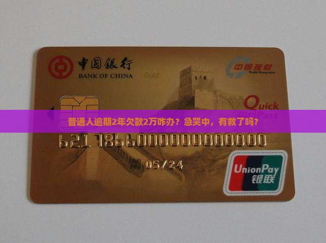 支付宝逾期2年欠款2万如何处理