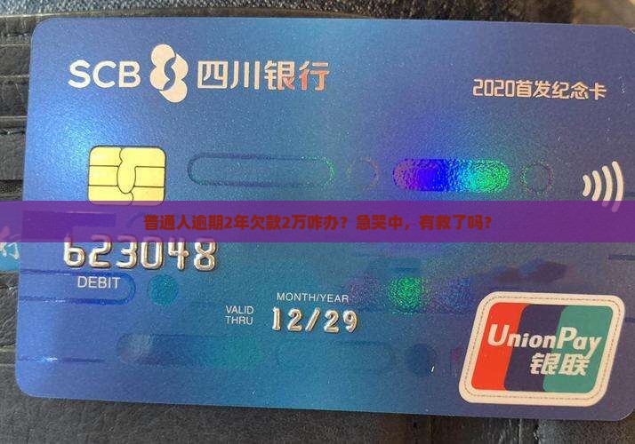 支付宝逾期2年欠款2万如何处理