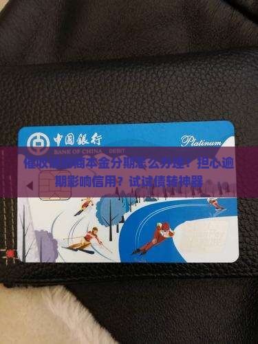 催收说协商本金分期怎么办理