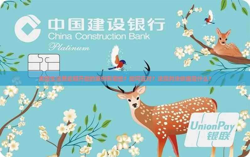 美团生活费逾期开庭的案例有哪些