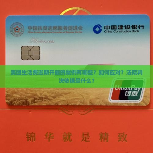 美团生活费逾期开庭的案例有哪些