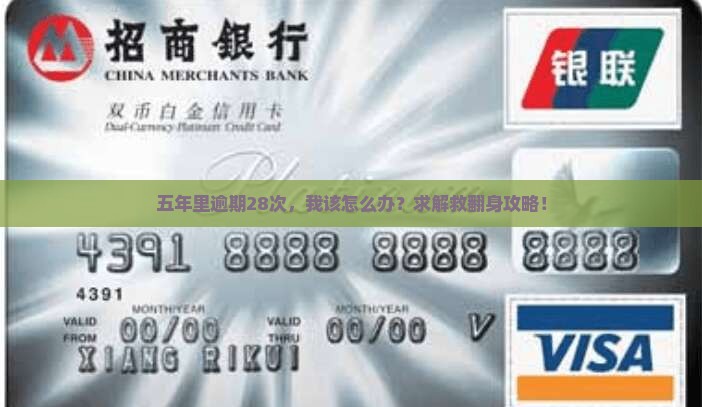5年内有28次逾期怎么办有效解决方法