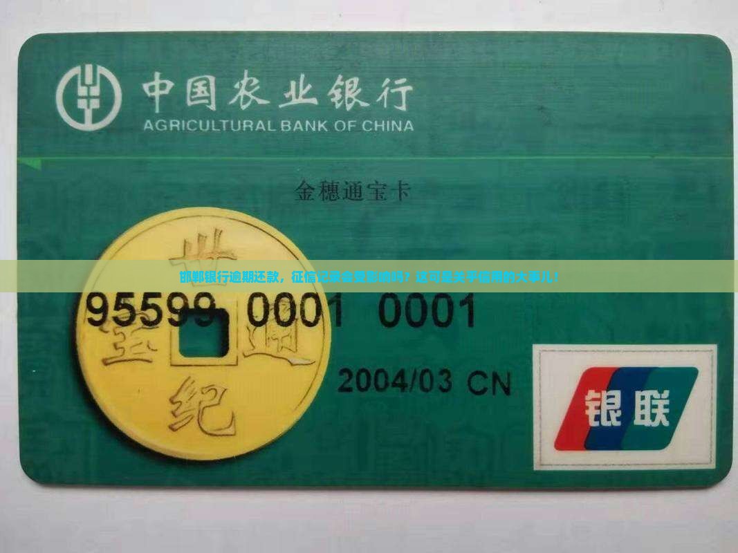 邯郸银行逾期会上征信吗