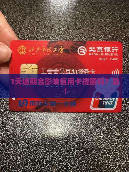 民生信用卡逾期一天会对信用记录有影响吗