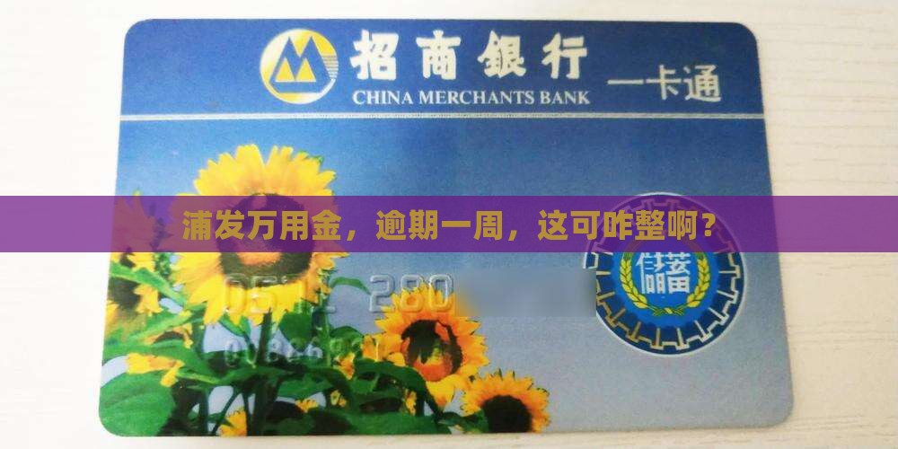 浦发万用金逾期一周
