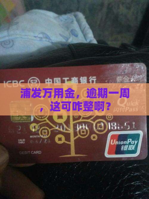 浦发万用金逾期一周