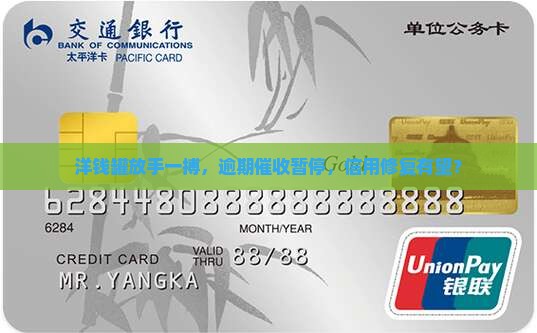 洋钱罐停催逾期上征信
