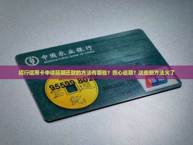 招行信用卡申请延期还款的方法有哪些