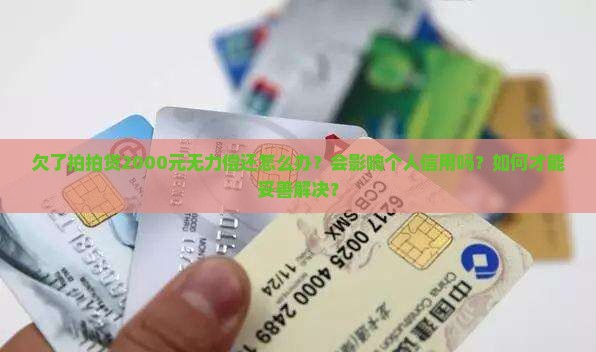 欠了拍拍贷2000