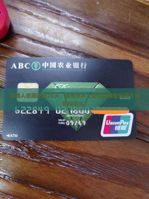 融易贷还不上不还会上征信吗应该如何处理