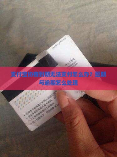 支付宝协商到期无法支付怎么办