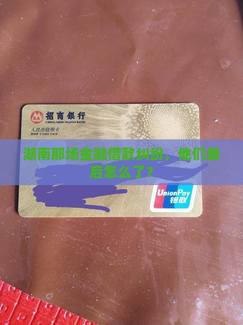 湖南金融借款纠纷案件调解结果公布
