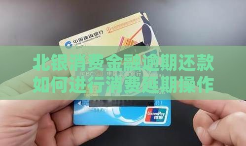 北银消费金融延期几天怎么操作