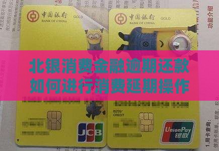 北银消费金融延期几天怎么操作