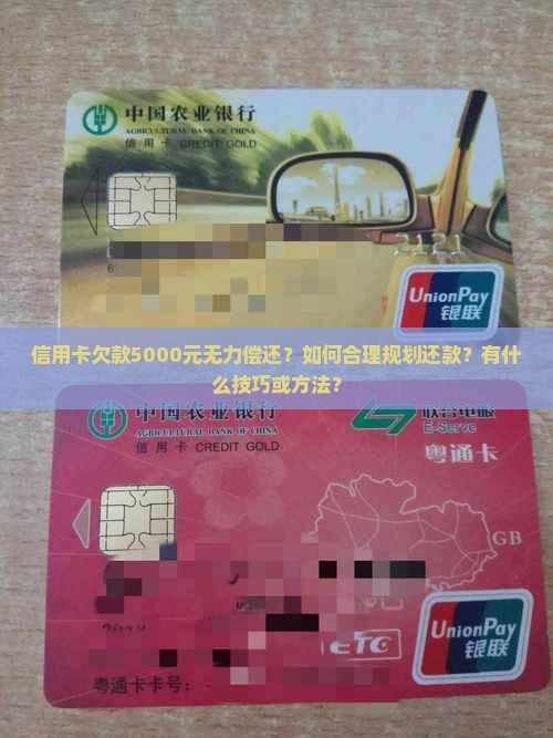 信用卡欠款5000元如何还清
