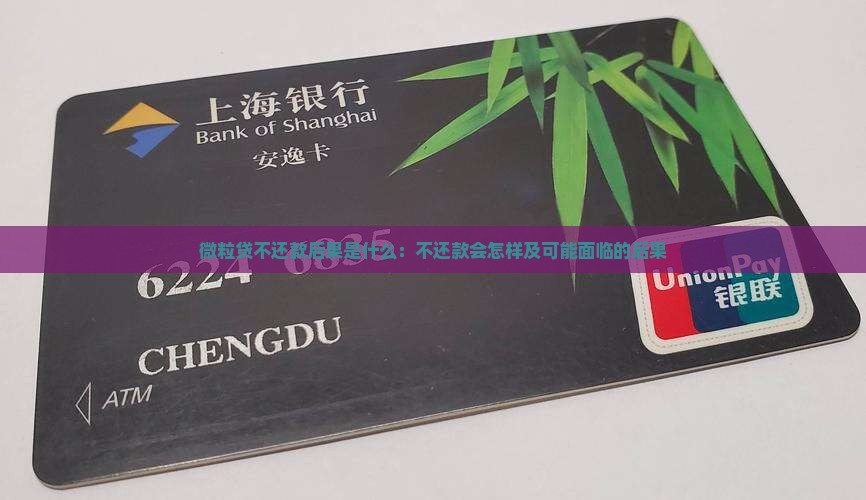 微粒贷不还款后果是什么