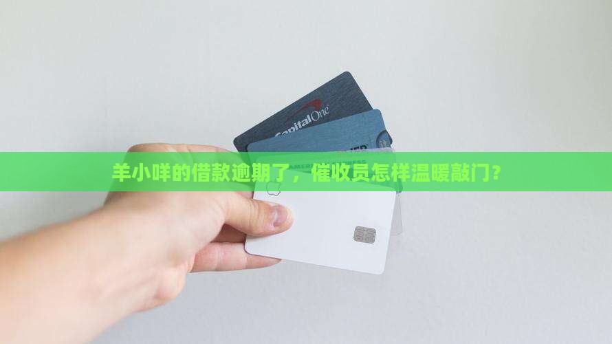 羊小咩信用贷款逾期催收